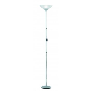 Reality DEZWO Golvlampa, strålkastare Titan, 1-ljuskällor Reality DEZWO Golvlampa, strålkastare Titan, 1-ljuskällor