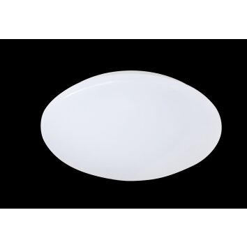 Reality PUTZ Taklampa LED Vit, 1-ljuskällor