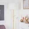 Vezza Golvlampa, Läslampa Mässing, 2-ljuskällor