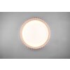 Reality Monte Taklampa LED Vit, 1-ljuskällor, Fjärrkontroll