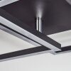 Doyon Taklampa LED Svart, 1-ljuskällor