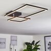 Doyon Taklampa LED Svart, 1-ljuskällor