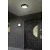 Trio Decken- Taklampa, Vägglampa LED Antracit, 1-ljuskällor