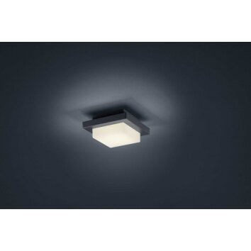 Trio Decken- LED Antracit, 1-ljuskällor