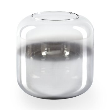 Lampskärm i glas  Lauden Reservglas 15 cm Krom, Klart, Rökfärger