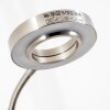 Donna strålkastare, Golvlampa LED Nickel matt, 1-ljuskällor