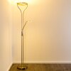 Donna strålkastare, Golvlampa LED Nickel matt, 1-ljuskällor