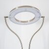 Donna strålkastare, Golvlampa LED Nickel matt, 1-ljuskällor