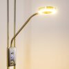 Donna strålkastare, Golvlampa LED Nickel matt, 1-ljuskällor