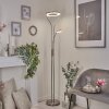 Donna strålkastare, Golvlampa LED Nickel matt, 2-ljuskällor