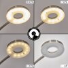 Donna strålkastare, Golvlampa LED Nickel matt, 2-ljuskällor