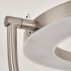 Donna strålkastare, Golvlampa LED Nickel matt, 2-ljuskällor