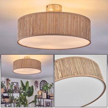 Foggia Taklampa Nickel matt, 3-ljuskällor