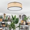 Foggia Taklampa Nickel matt, 3-ljuskällor