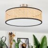 Foggia Taklampa Nickel matt, 3-ljuskällor