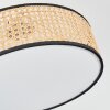 Foggia Taklampa Nickel matt, 3-ljuskällor