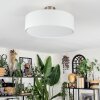 Foggia Taklampa Nickel matt, 3-ljuskällor