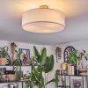 Foggia Taklampa Nickel matt, 3-ljuskällor