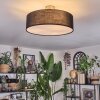 Foggia Taklampa Nickel matt, 3-ljuskällor