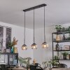 Koyoto Pendellampa, kullampa, Pendelbelysning Klart, Rökfärger, 3-ljuskällor