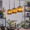 Koyoto Pendellampa, kullampa, Pendelbelysning Guld, 3-ljuskällor