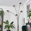 Nikkala Golvlampa Krom, Svart, 5-ljuskällor