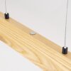 Fugelsta Pendellampa, Pendelbelysning LED Svart, 1-ljuskällor