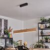 Fugelsta Pendellampa, Pendelbelysning LED Svart, 1-ljuskällor
