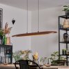 Fugelsta Pendellampa, Pendelbelysning LED Svart, 1-ljuskällor