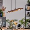 Fugelsta Pendellampa, Pendelbelysning LED Svart, 1-ljuskällor