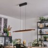 Fugelsta Pendellampa, Pendelbelysning LED Svart, 1-ljuskällor