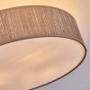 Foggia Taklampa Nickel matt, 3-ljuskällor
