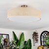 Foggia Taklampa Nickel matt, 3-ljuskällor