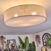 Foggia Taklampa Nickel matt, 3-ljuskällor