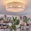 Foggia Taklampa Nickel matt, 3-ljuskällor