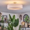 Foggia Taklampa Nickel matt, 3-ljuskällor
