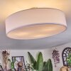 Foggia Taklampa Nickel matt, 3-ljuskällor