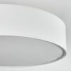 Foggia Taklampa Nickel matt, 3-ljuskällor