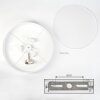 Foggia Taklampa Nickel matt, 3-ljuskällor