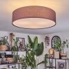 Foggia Taklampa Nickel matt, 3-ljuskällor