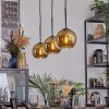 Koyoto Pendellampa, kullampa, Pendelbelysning Guld, 3-ljuskällor