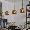 Koyoto Pendellampa, kullampa, Pendelbelysning Guld, 3-ljuskällor
