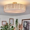 Foggia Taklampa Nickel matt, 3-ljuskällor