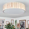 Foggia Taklampa Nickel matt, 3-ljuskällor