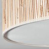 Foggia Taklampa Nickel matt, 3-ljuskällor