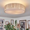 Foggia Taklampa Nickel matt, 3-ljuskällor