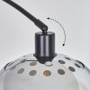 Baloca Golvlampa Svart, 1-ljuskällor
