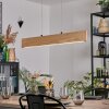 Fugelsta Pendellampa, Pendelbelysning LED Svart, 1-ljuskällor