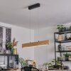 Fugelsta Pendellampa, Pendelbelysning LED Svart, 1-ljuskällor