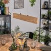 Fugelsta Pendellampa, Pendelbelysning LED Svart, 1-ljuskällor